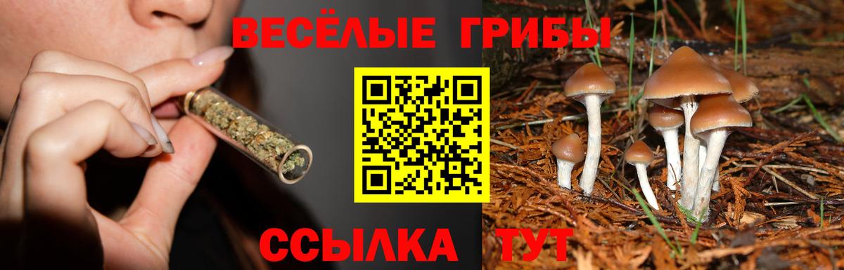 Златоуст  Псилоцибиновые грибы Magic Shrooms  купить наркотик  Вход с VPN 